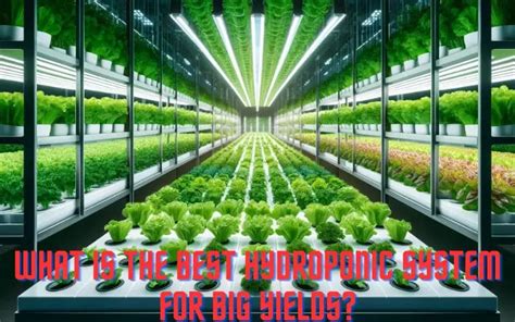 Best Hydro System For Yield