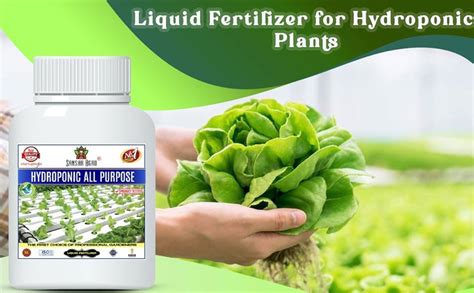 Best Hydroponic Liquid Fertilizer