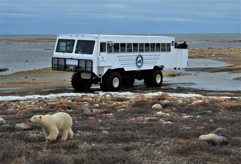 best in churchill tours