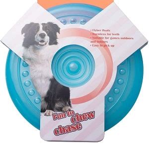 best indestructible dog frisbee