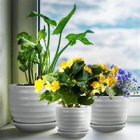 best indoor planter pots