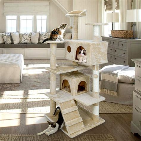 Best Inexpensive Cat Tree