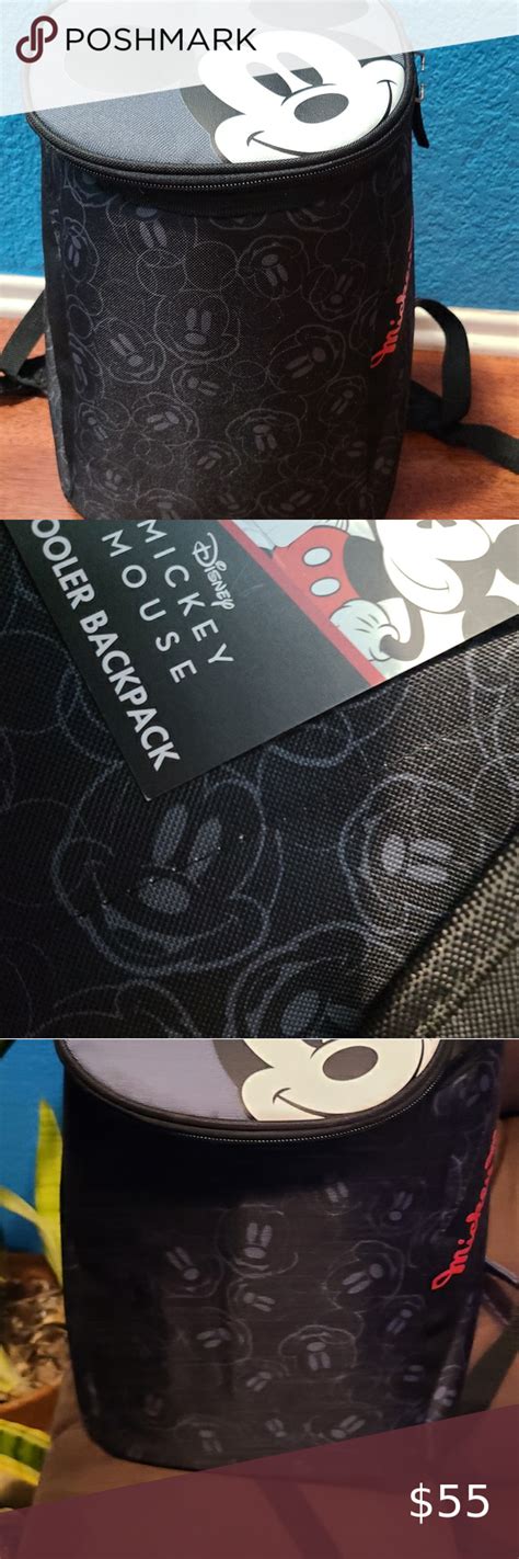 Best Insulated Backpack For Disney