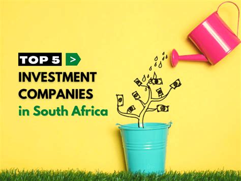 best investment companies in south africa