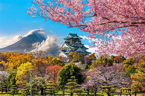 best japan travel packages