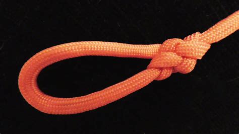 best knot for making a loop