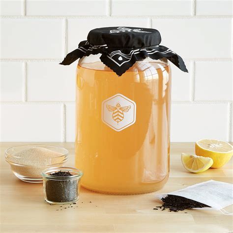 best kombucha brewing kit