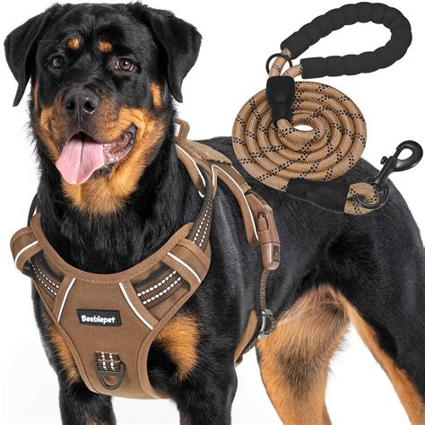 Best Large Dog Harnesses