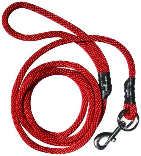 Best Leash To Keep Dog From Pulling
