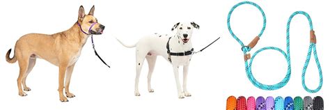 Best Leashes To Stop Pulling