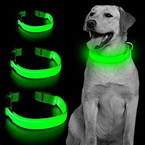 best led dog collar uk