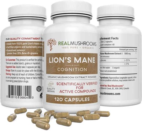 best lion's mane supplement reviews