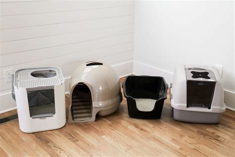 Best Litter Box Systems
