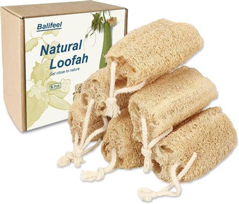 Best Loofah Amazon
