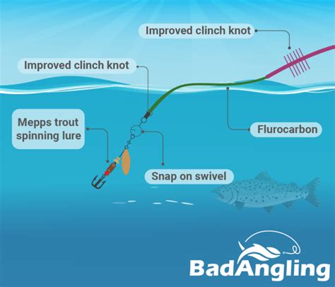 Best Lure Setup For Trout