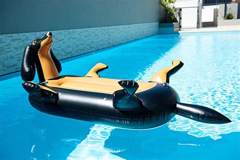 best luxury pool floats