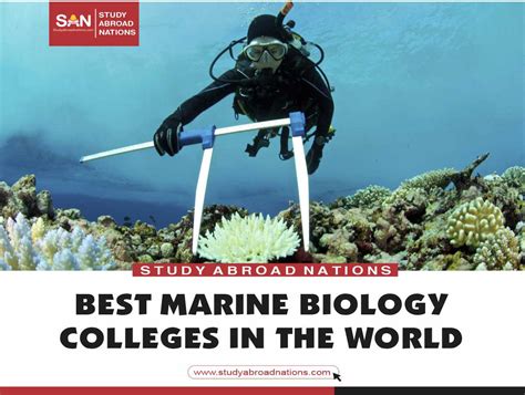 best marine science undergraduate programs