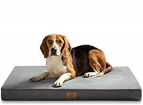 Best Memory Foam Bed Dog