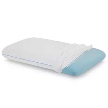 Best Memory Foam Pillow Target