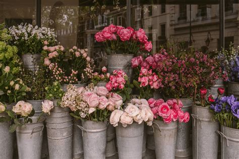 Best Memphis Florists