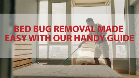 Best Method For Bed Bug Removal