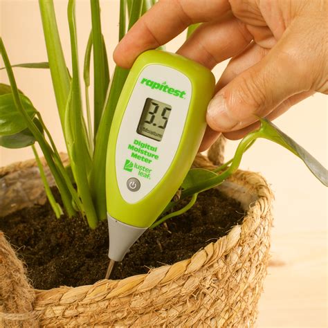 best moisture meter for indoor plants