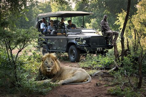 best month to do a south african safari trip