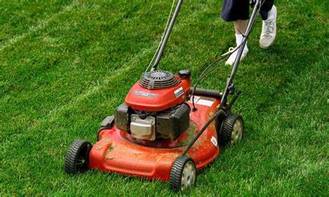 What Is The Best Mulching Lawn Mower