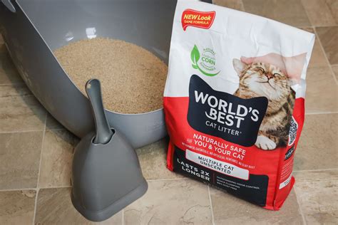 Best Multi Cat Litter System