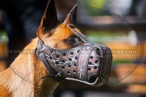 Best Muzzle For Belgian Malinois