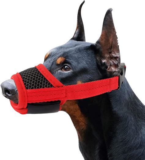 Best Muzzle For Biting