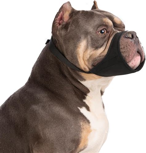 Best Muzzle For Boxers