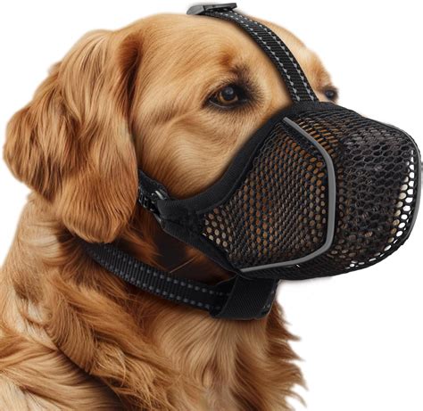 Best Muzzle For Medium Sized Dog