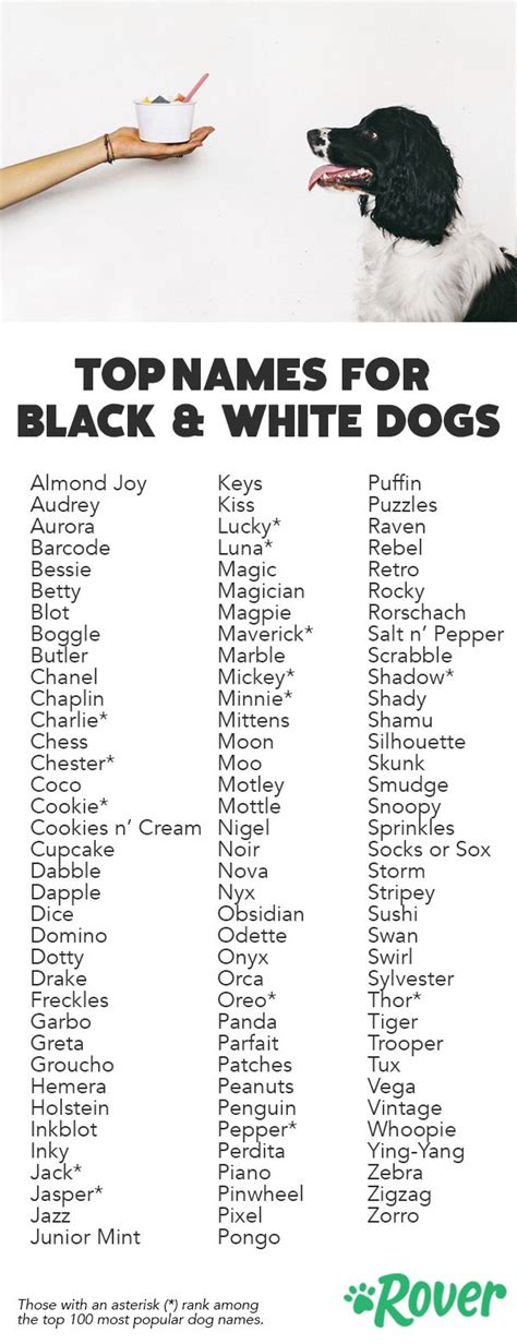 Best Names for a Black and White Dog