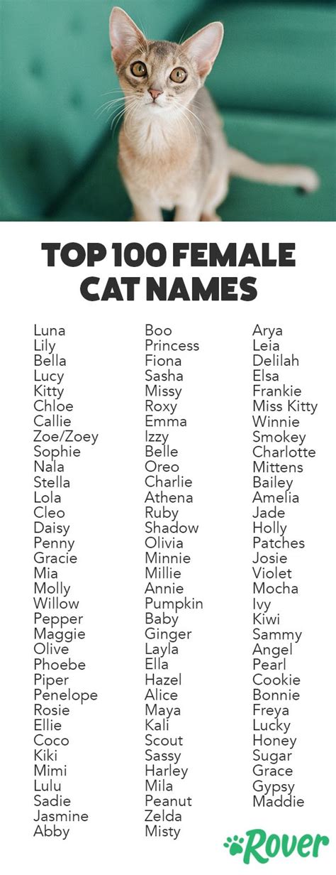 Best Names For Cats Female