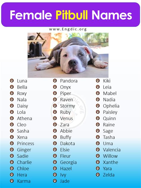 best names for girl pitbulls