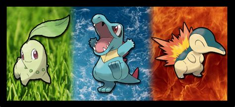 best nature for totodile soulsilver