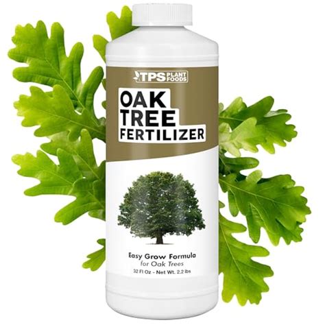 Best Oak Tree For Small Yard