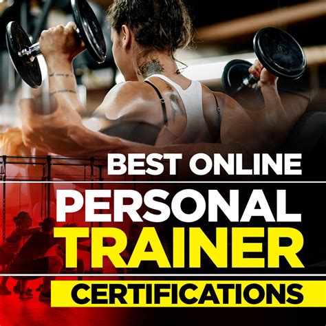 best online personal trainer certification