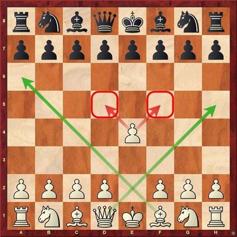 Best Opening Chess Moves