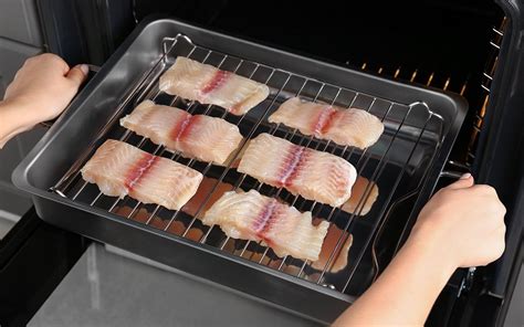 Best Pan For Broiling Fish