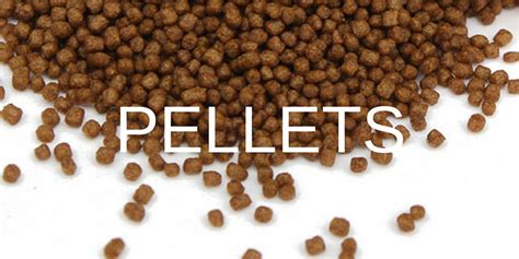 best pellets for betta fish