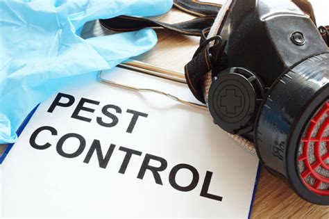 best pest control company