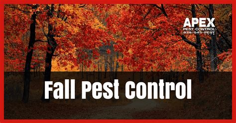 best pest control for fall in aurora