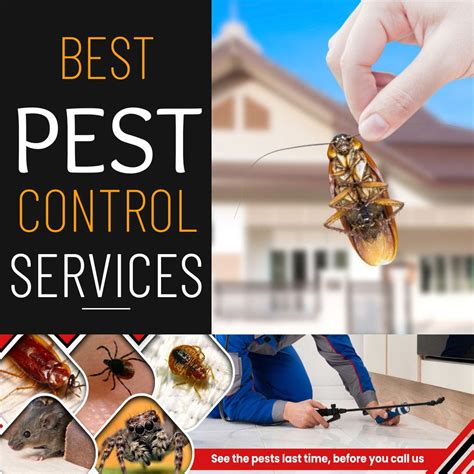 best pest control services for austin area
