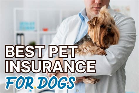 best pet health insurance for dogs