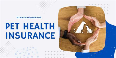 best pet health insurance nc