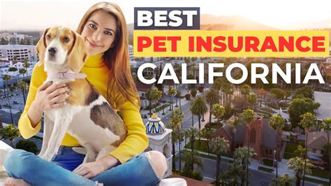 best pet insurance in california