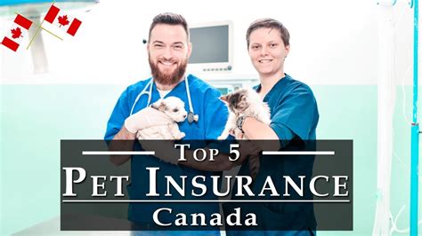 best pet insurance in canada reviews