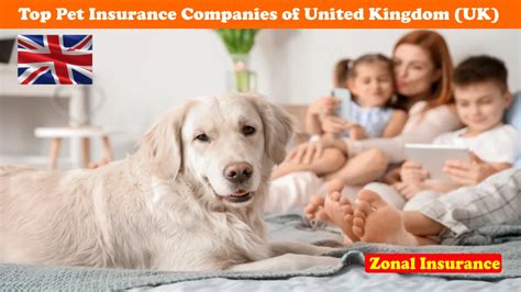 best pet insurance united kingdom